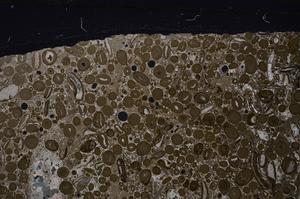 Cross Polarized, E46718