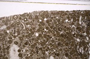 Plane Polarized, E46718