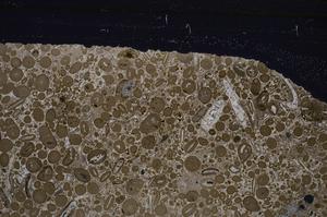 Cross Polarized, E46719