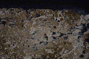 Cross Polarized, E46720