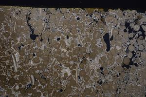 Cross Polarized, E46721