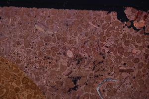 Cross Polarized, E46722