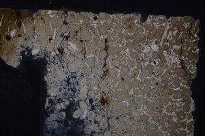 Cross Polarized, E46723