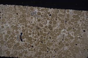 Cross Polarized, E46724