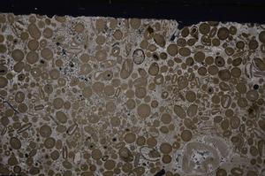 Cross Polarized, E46726