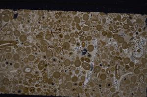 Cross Polarized, E46728