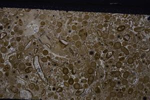 Cross Polarized, E46729