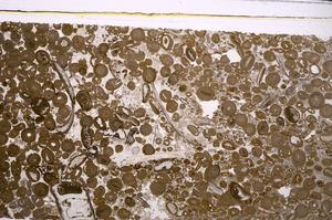 Plane Polarized, E46731