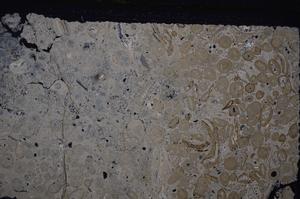 Cross Polarized, E46734