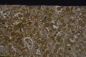 Cross Polarized, E46739