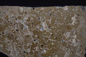 Cross Polarized, E46741