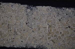 Cross Polarized, E46742