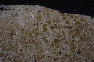 Cross Polarized, E46744