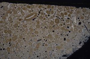 Cross Polarized, E46745