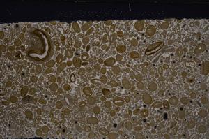 Cross Polarized, E46746