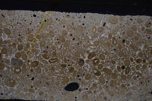 Cross Polarized, E46748