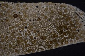 Cross Polarized, E46749