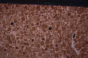 Cross Polarized, E46750