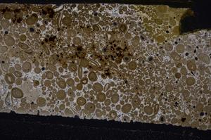 Cross Polarized, E46752