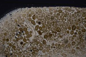 Cross Polarized, E46753