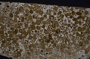 Cross Polarized, E46755