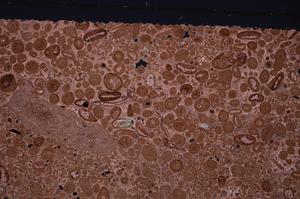 Cross Polarized, E46756