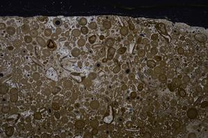 Cross Polarized, E46757