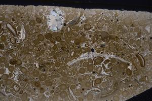 Cross Polarized, E46758