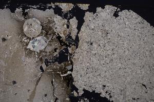 Cross Polarized, E46798