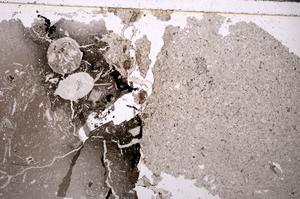 Plane Polarized, E46798