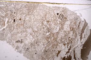 Plane Polarized, E46807