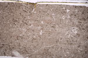 Plane Polarized, E46811/A