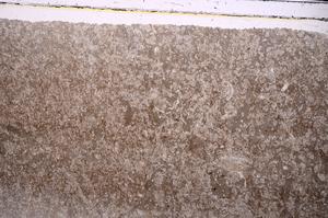 Plane Polarized, E46811/B