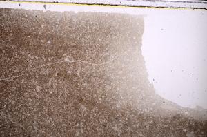 Plane Polarized, E46814