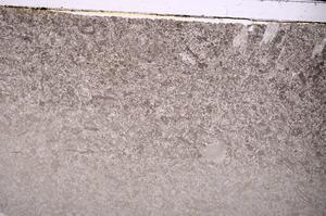 Plane Polarized, E46815