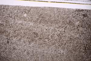 Plane Polarized, E46816