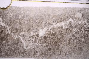 Plane Polarized, E46817