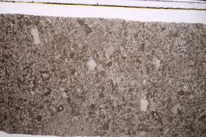 Plane Polarized, E46818