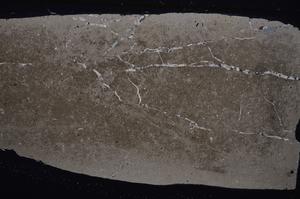 Cross Polarized, E46819