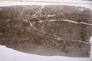 Plane Polarized, E46819