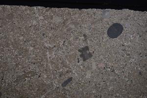 Cross Polarized, E46821