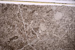 Plane Polarized, E46821