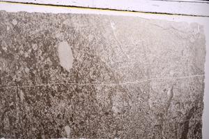 Plane Polarized, E46830