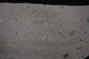 Cross Polarized, E46831