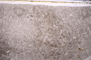 Plane Polarized, E46831