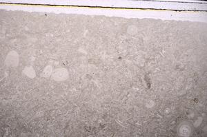 Plane Polarized, E46832/B