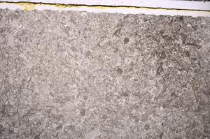 Plane Polarized, E46833/A