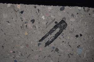 Cross Polarized, E46833/B