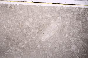 Plane Polarized, E46833/B