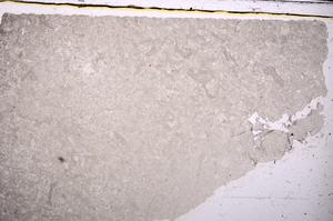 Plane Polarized, E46834